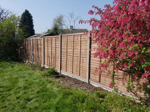 Panel Fencing With Concrete Posts